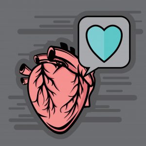 Dbaj o serce i żyj dłużej - mięsień sercowy jest tylko jeden
