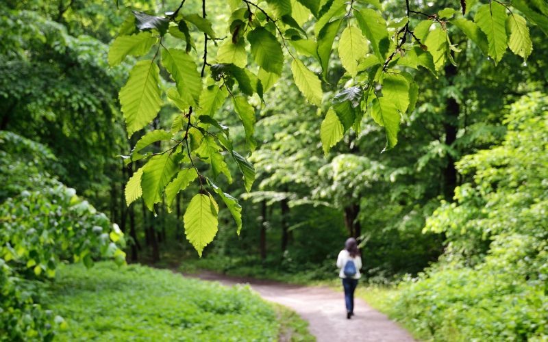 Co robić w wolnym czasie.